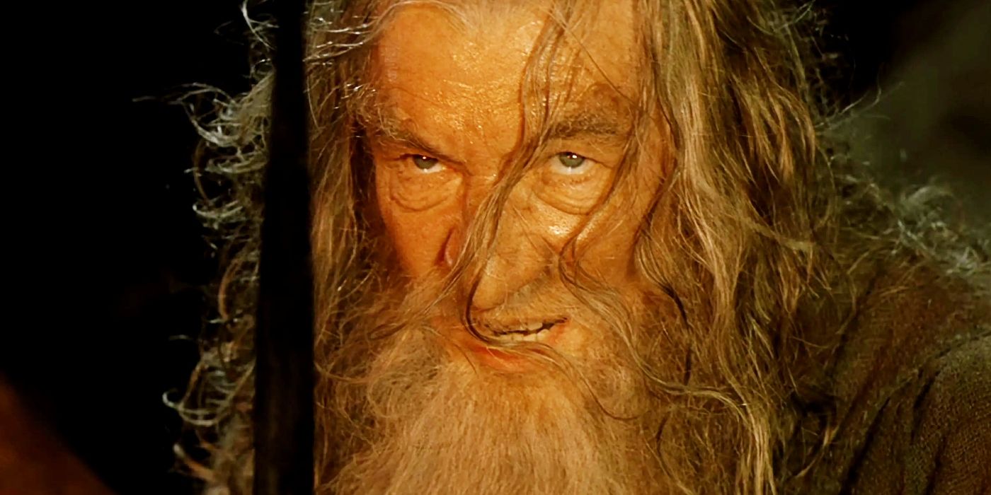 Ian McKellen looking determined as Gandalf in The Lord of the Rings: The Fellowship of the Ring.