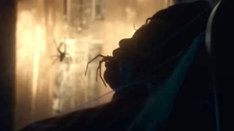 Infested Summary, Trailer, Cast, Where to Watch and More