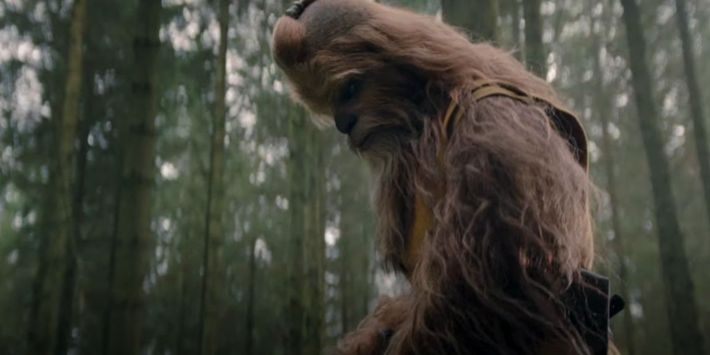 The Wookiee Jedi Kelnacca standing in a forest in The Acolyte