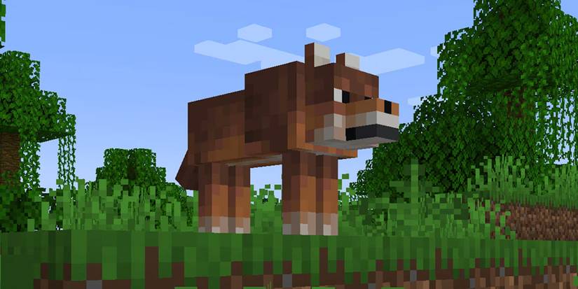 Minecraft: All Wolf Variants From Java & Bedrock Editions