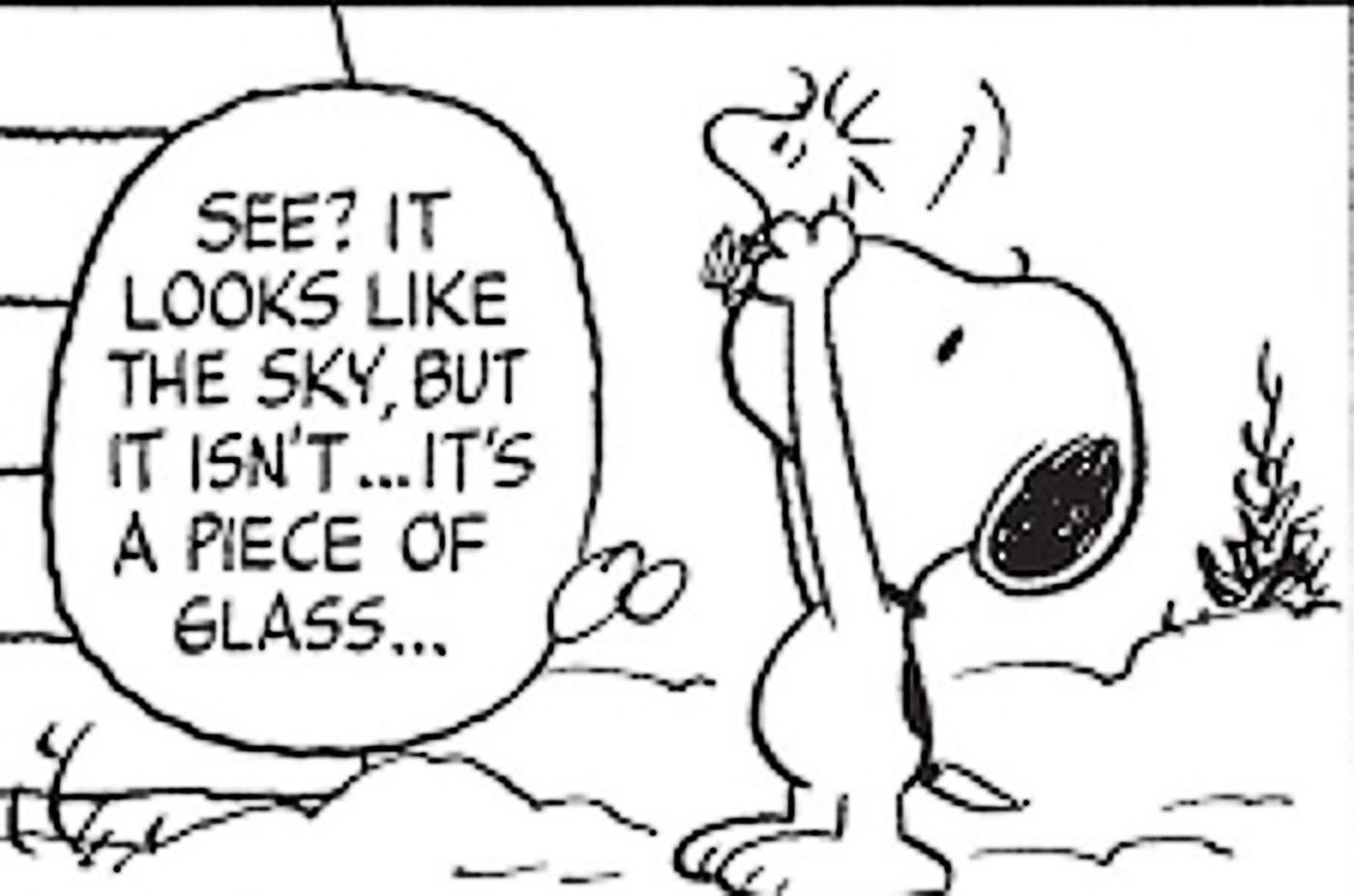 Peanuts: 15 Most Heartwarming Snoopy & Woodstock Best Friend Moments