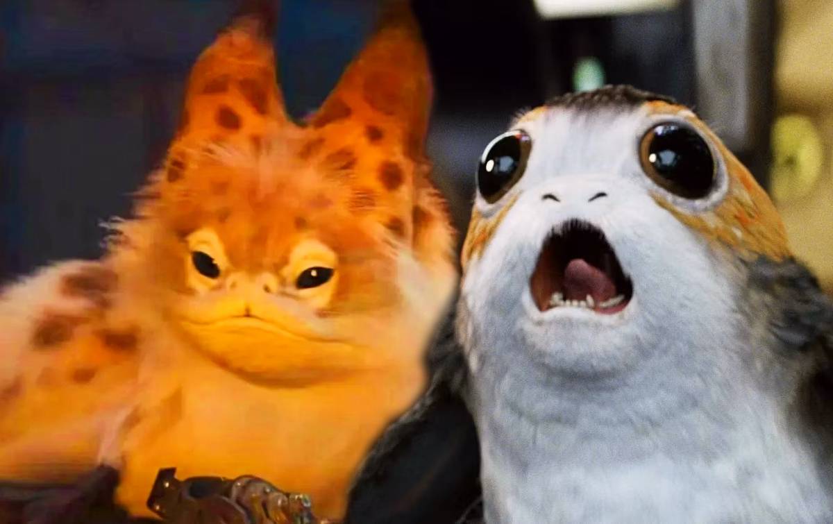 The 10 Best Star Wars Creatures, Ranked