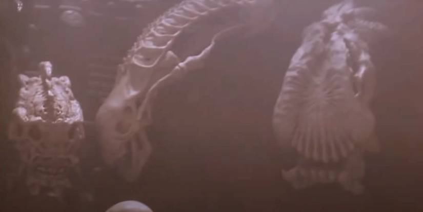 Prey's 