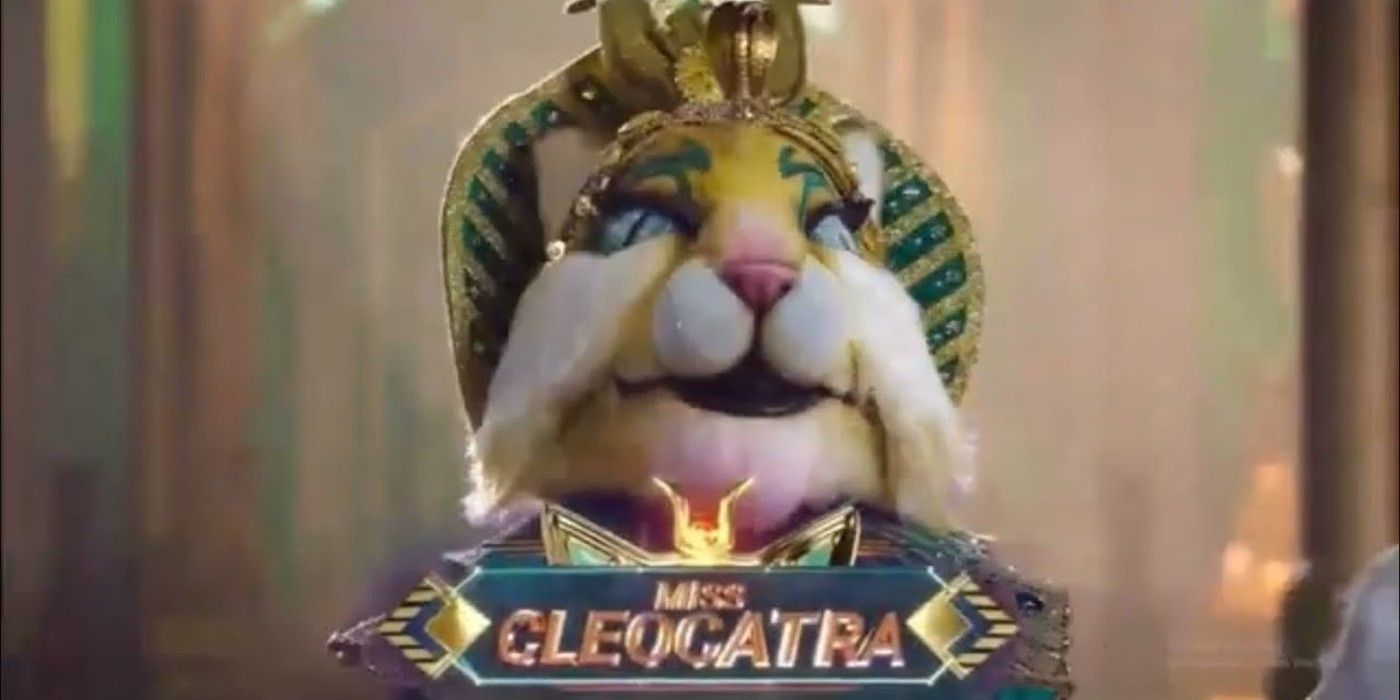 The Masked Singer: Woodpecker Identity Prediction & Clues
