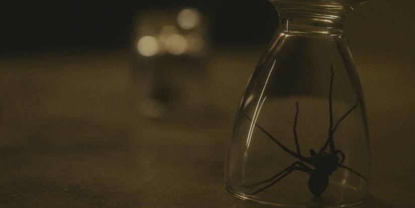 Infested Director & Co-Writer Sébastien Vaniček Talks Arachnophobia ...