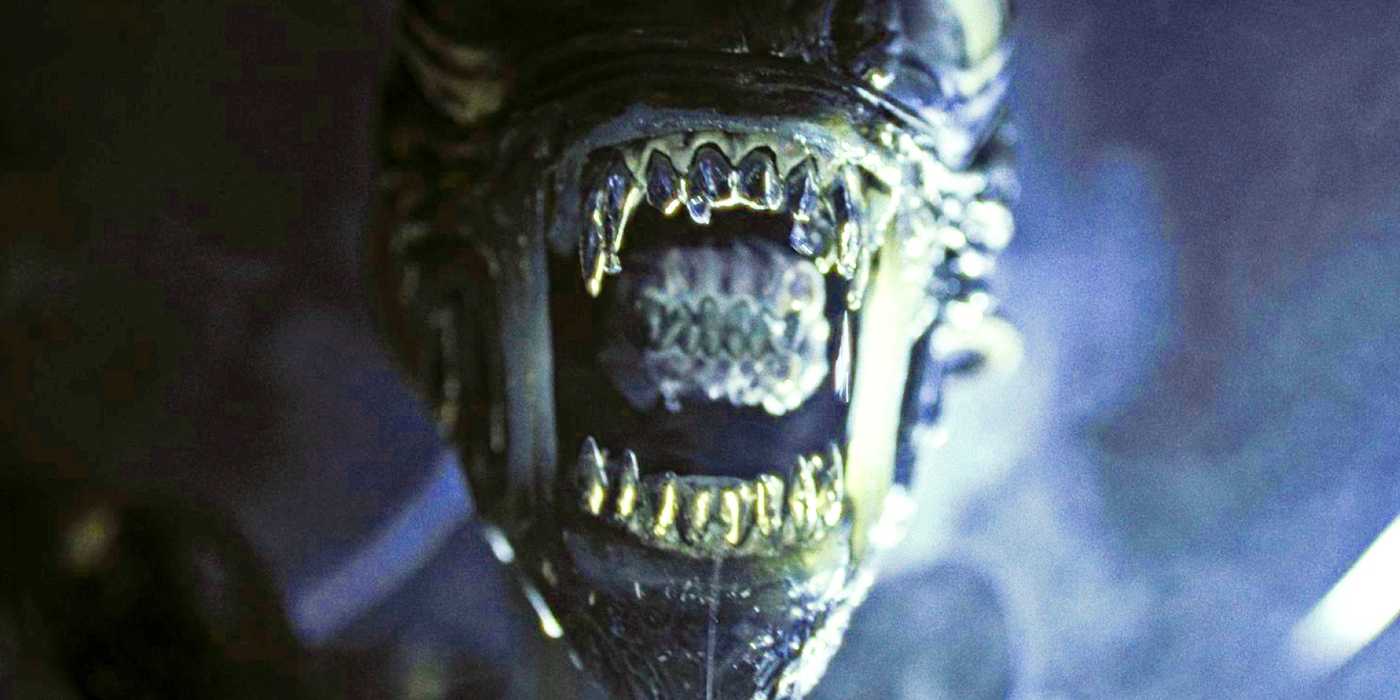 Alien From Rommus Alien: Romulus Is So Different Knowing The Father Of Kay's Baby
