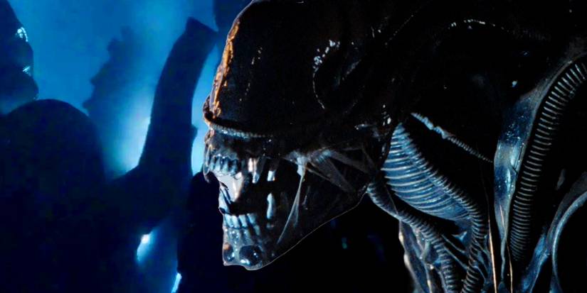 A Xenomorph in Front of a Background from Aliens