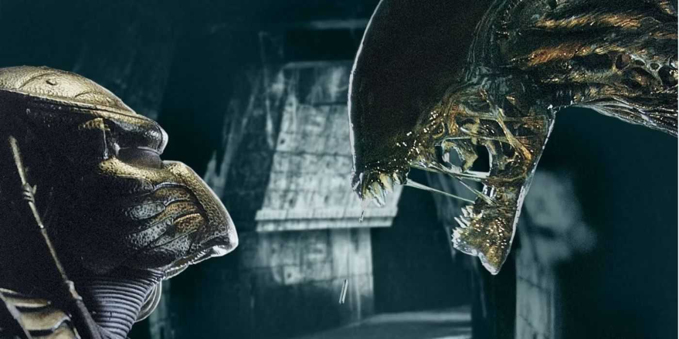 Xenomorph Rip Off Why Alien Vs. Predator 3 Never Happened (Despite AVPR's Success)
