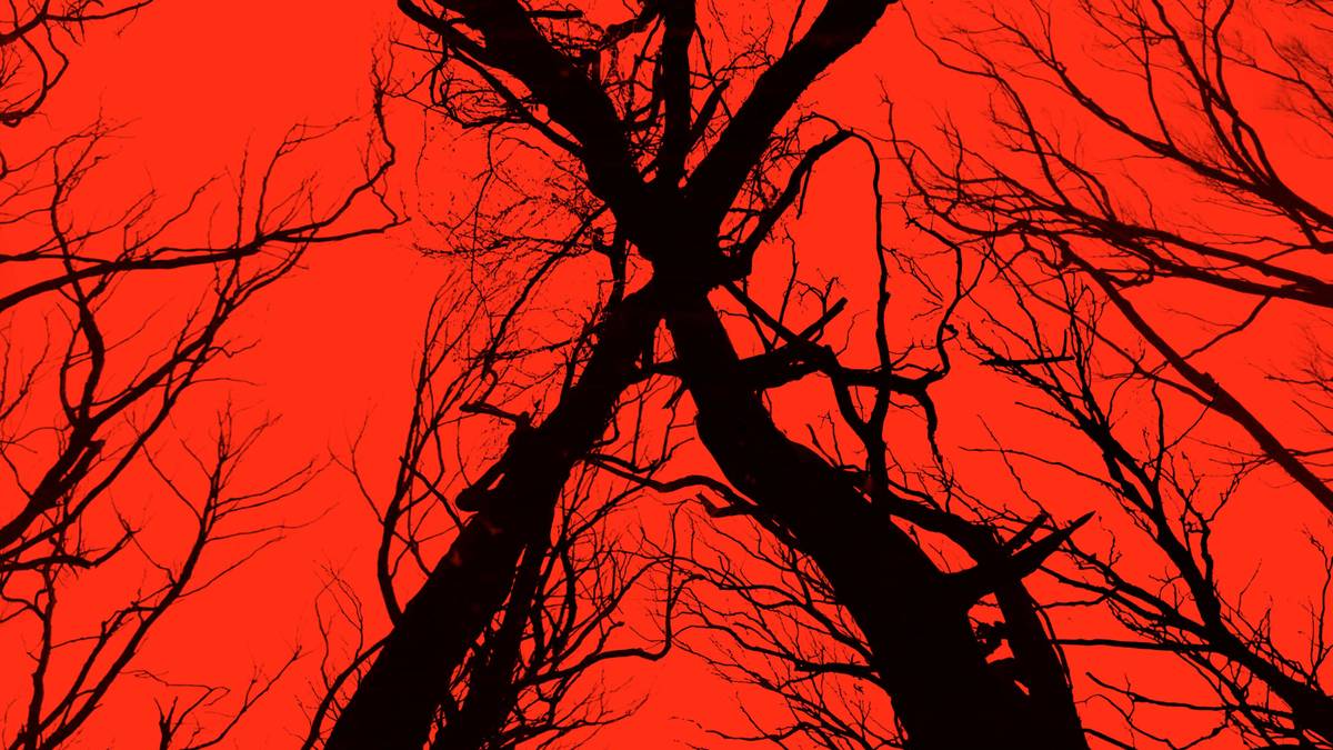 The Blair Witch Project 4 | ScreenRant