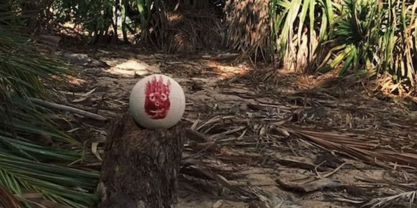 Is Cast Away Based On A True Story? Inspirations Explained