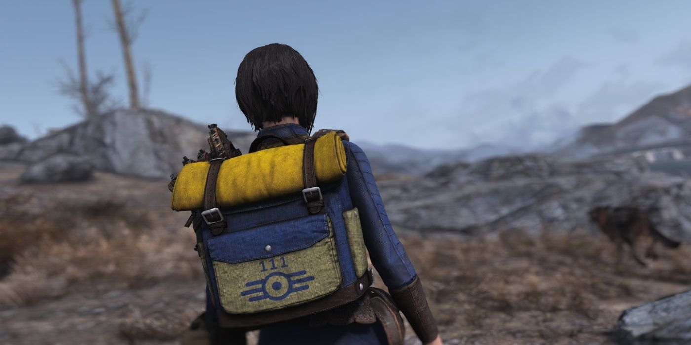 10 Wild Fallout Fan Theories & Rumours That Could Actually Be True From The Games