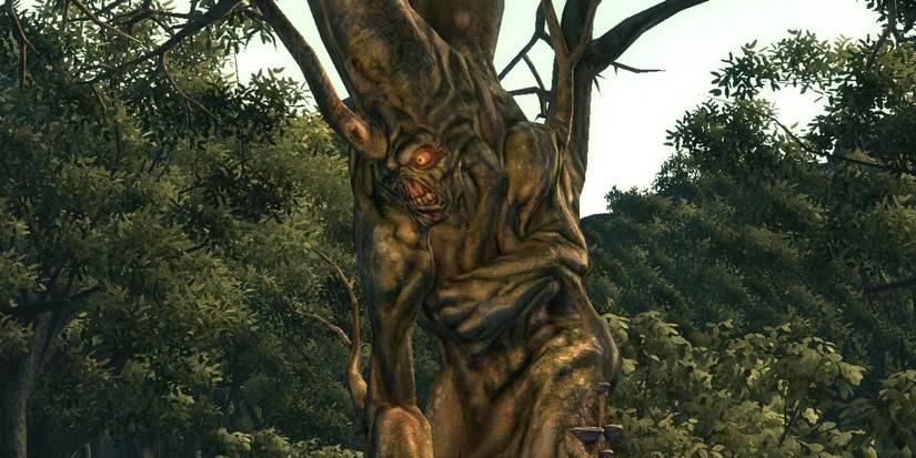 Harold em pé na floresta em Fallout