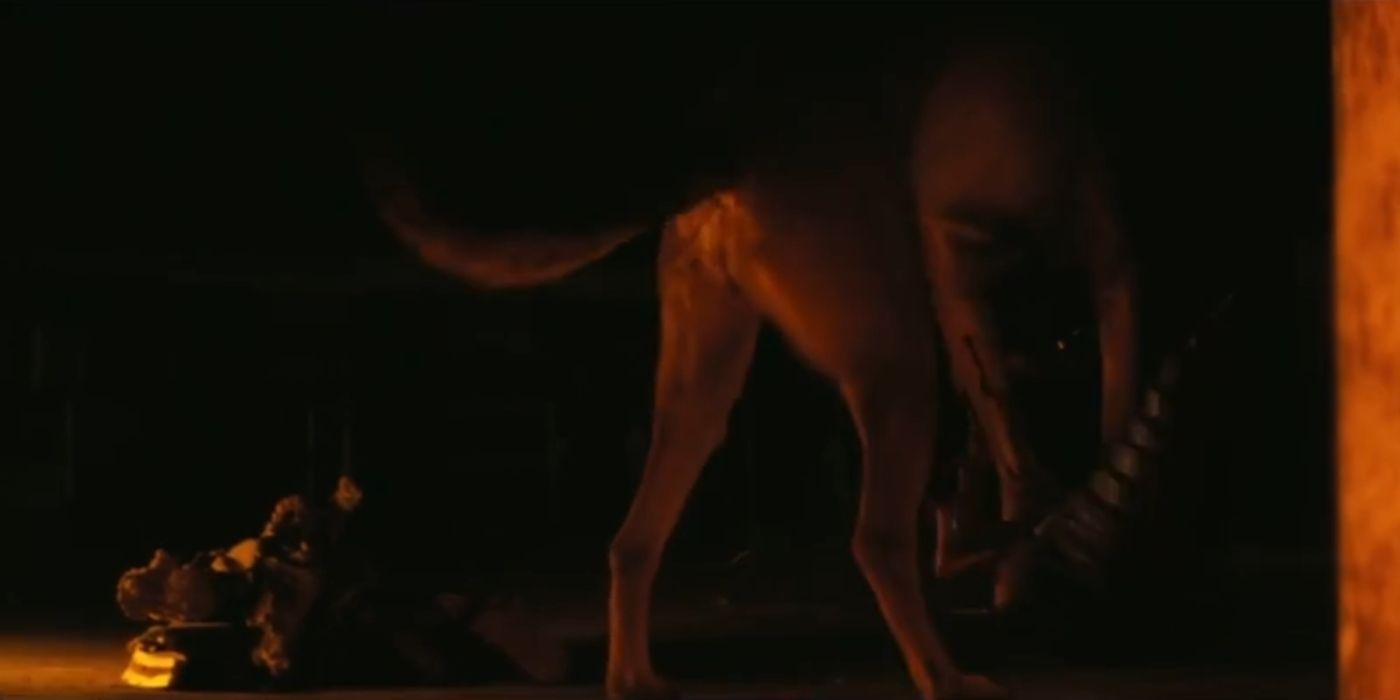 All 6 Mutant Creatures In Fallout Season 1 (& How They Compare To The ...
