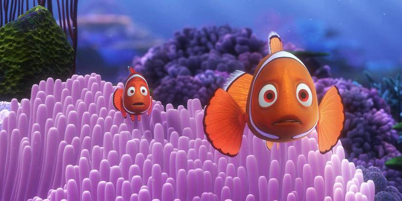 In the beginning of Finding Nemo Marlin and Coral are in the anemone, watching the barracuda before it attacks their fish eggs. 