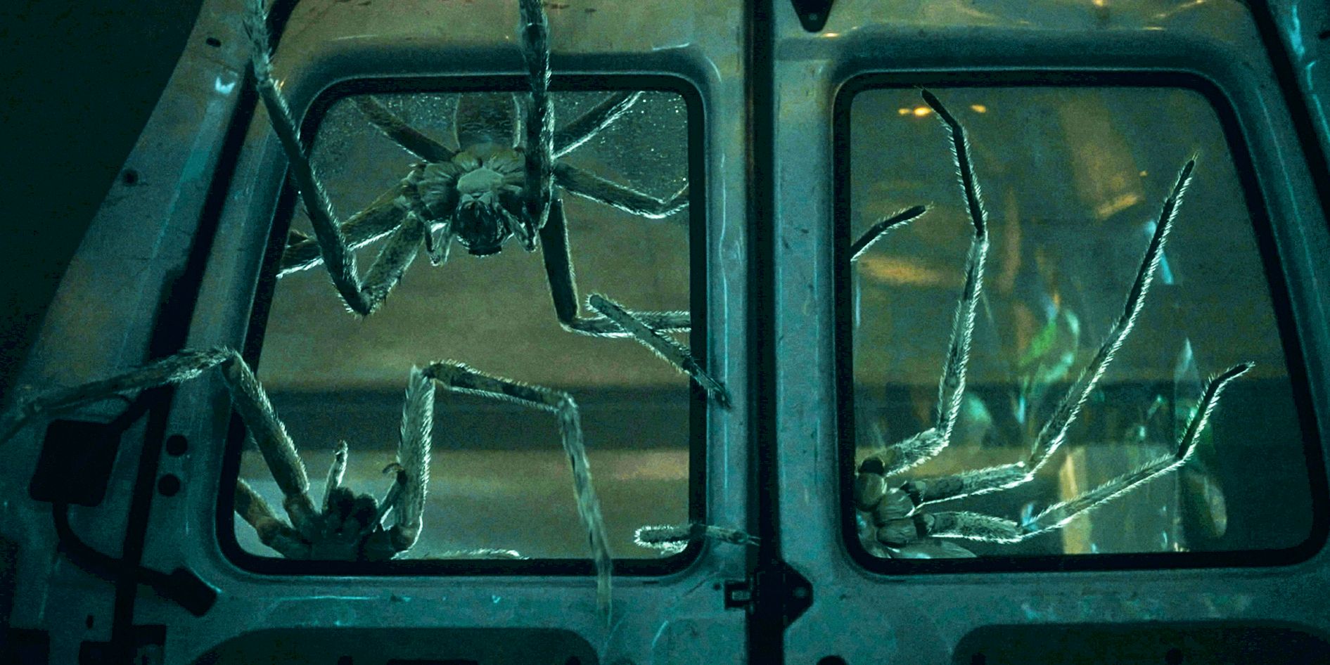Infested Summary, Trailer, Cast, Where to Watch and More