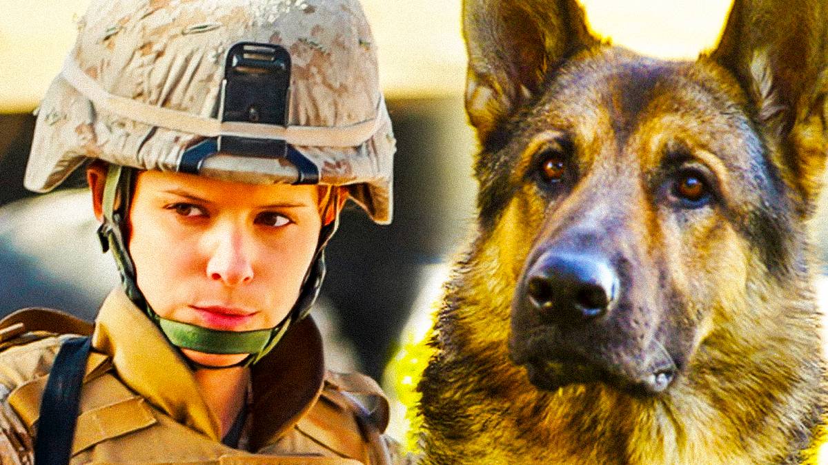 What Happened To Megan Leavey & Rex In Real Life After The 2017 Movie