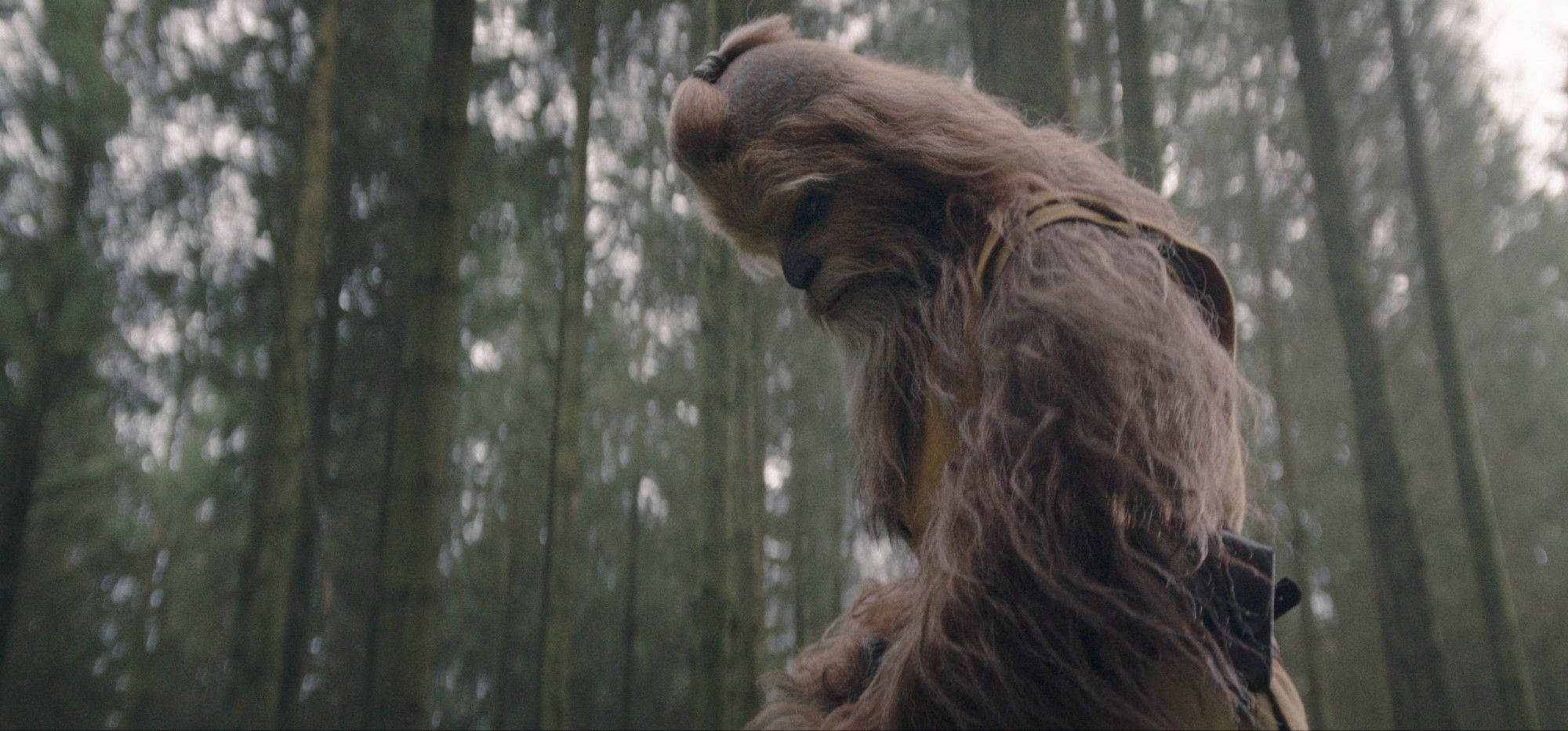 Star Wars: The Acolyte's Wookiee Jedi Explained: Who Is Kelnacca?