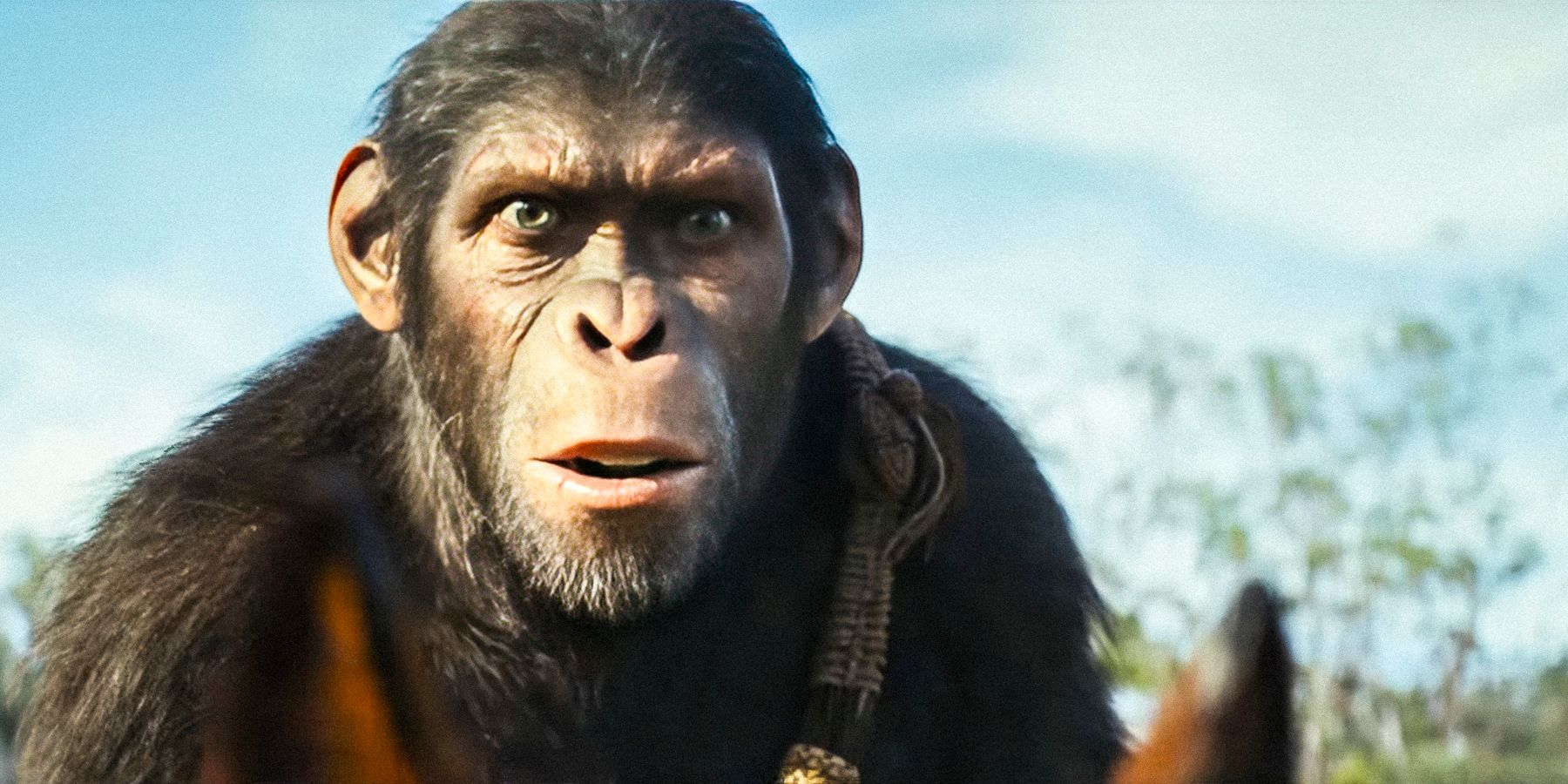 Нао, выражающая шок в "Kingdom of the Planet of the Apes"