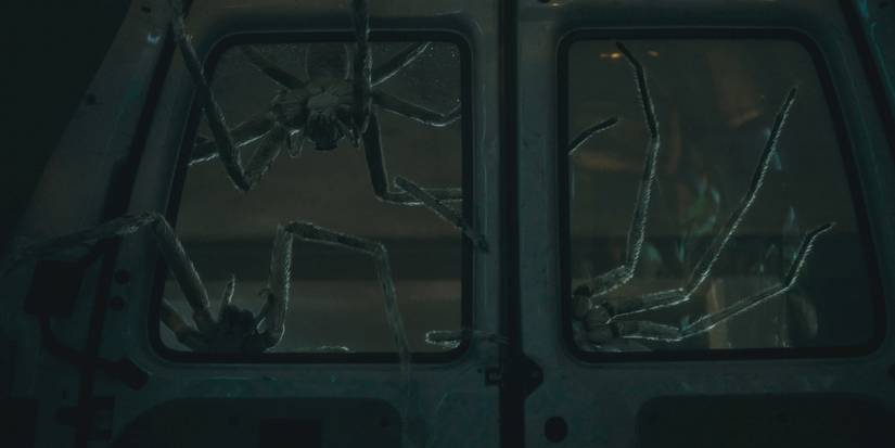 Infested Director & Co-Writer Sébastien Vaniček Talks Arachnophobia ...