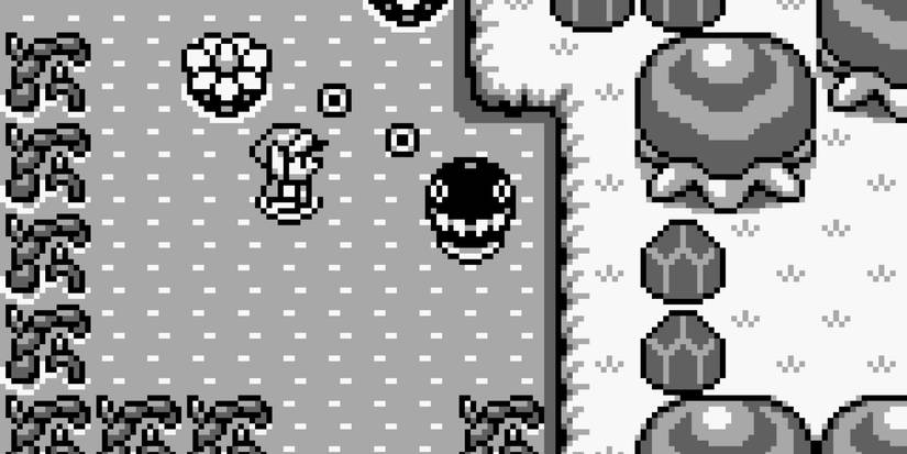 Legend of Zelda Link's Awakening screenshot with a chain chomp creature