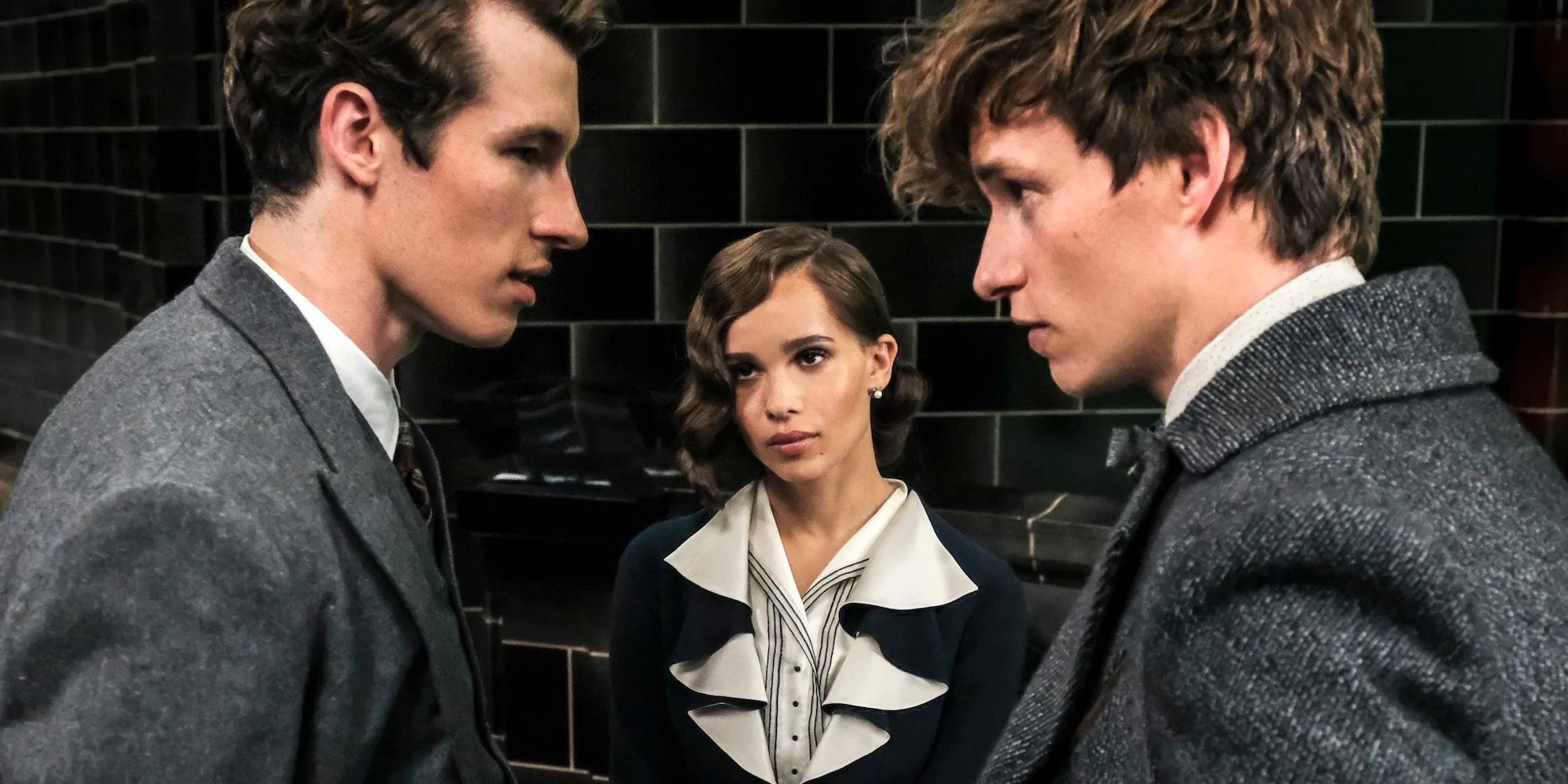 Fantastic Beasts 4 Could Have Revisited One Dark Story The Harry Potter Movies Cut