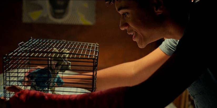 Lyon Daniels as Jared talking to Thimbletack in a cage in The Spiderwick Chronicles