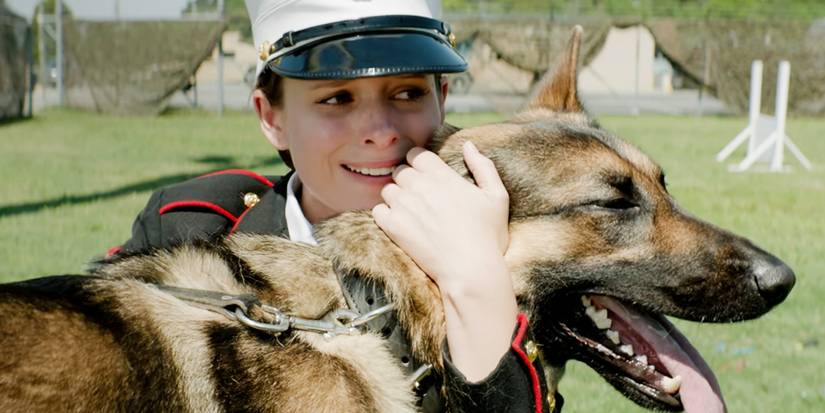 Netflix’s Popular War Movie Has A Brilliant Follow-Up With Channing ...