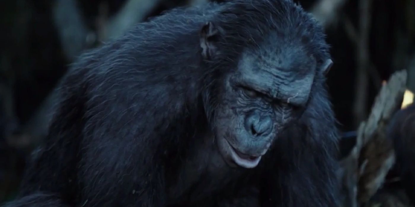 10 великих злодеев «Планеты обезьян», которые могут вернуться в «Королевство 2»