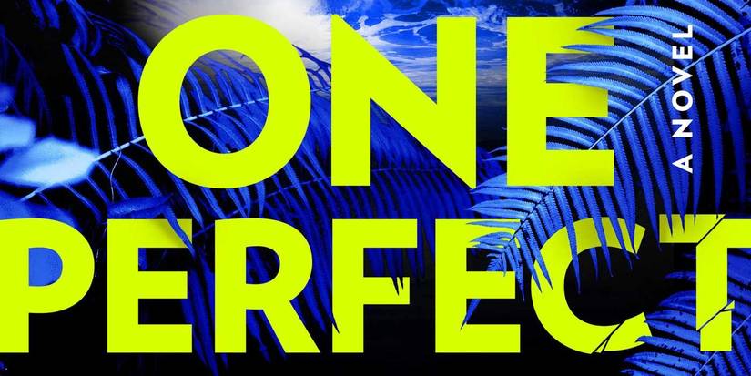 One Perfect Couple Book Ending Explained: Who Survives Ever After ...