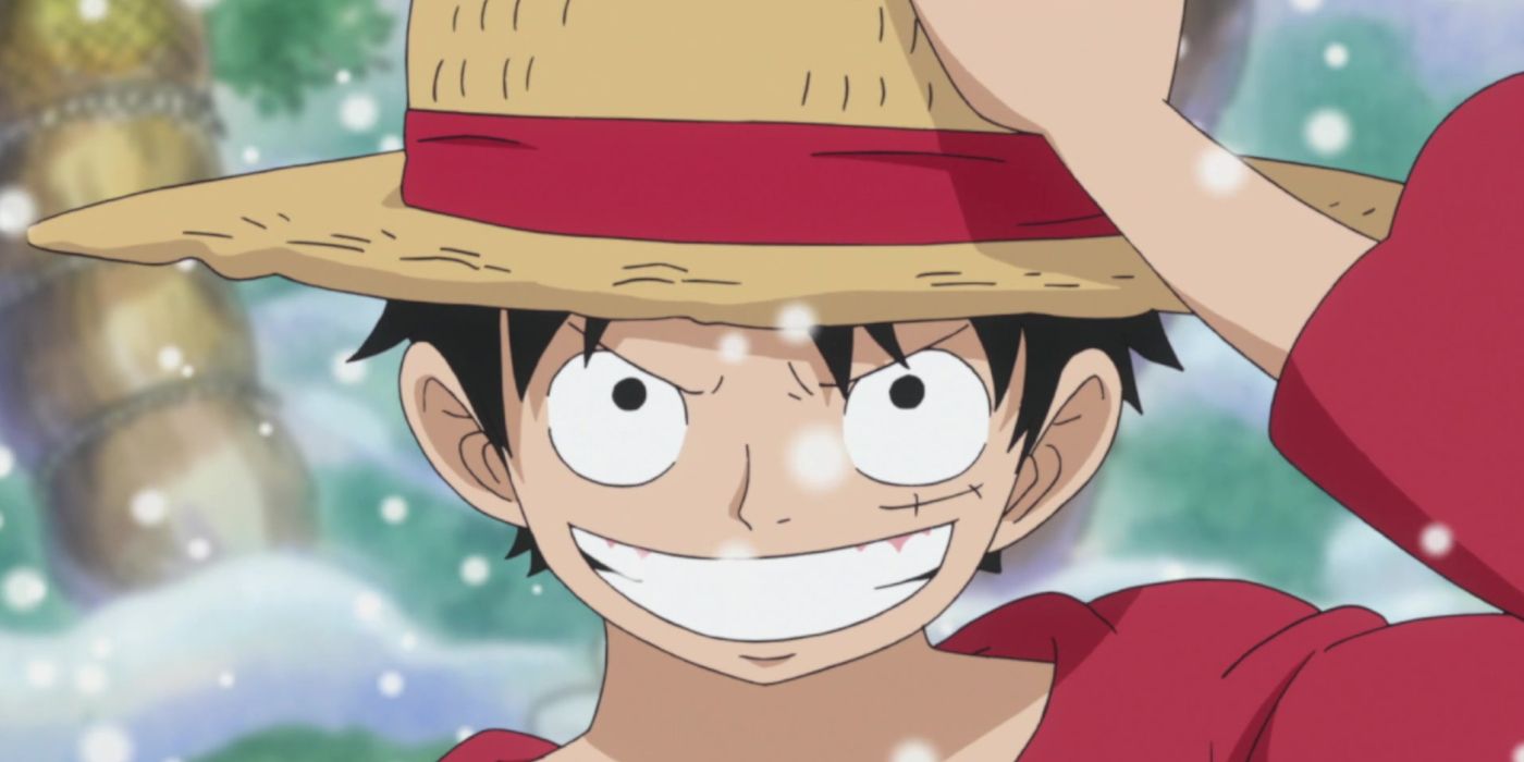 One Piece: What Every Straw Hat Member Did During The Time Skip