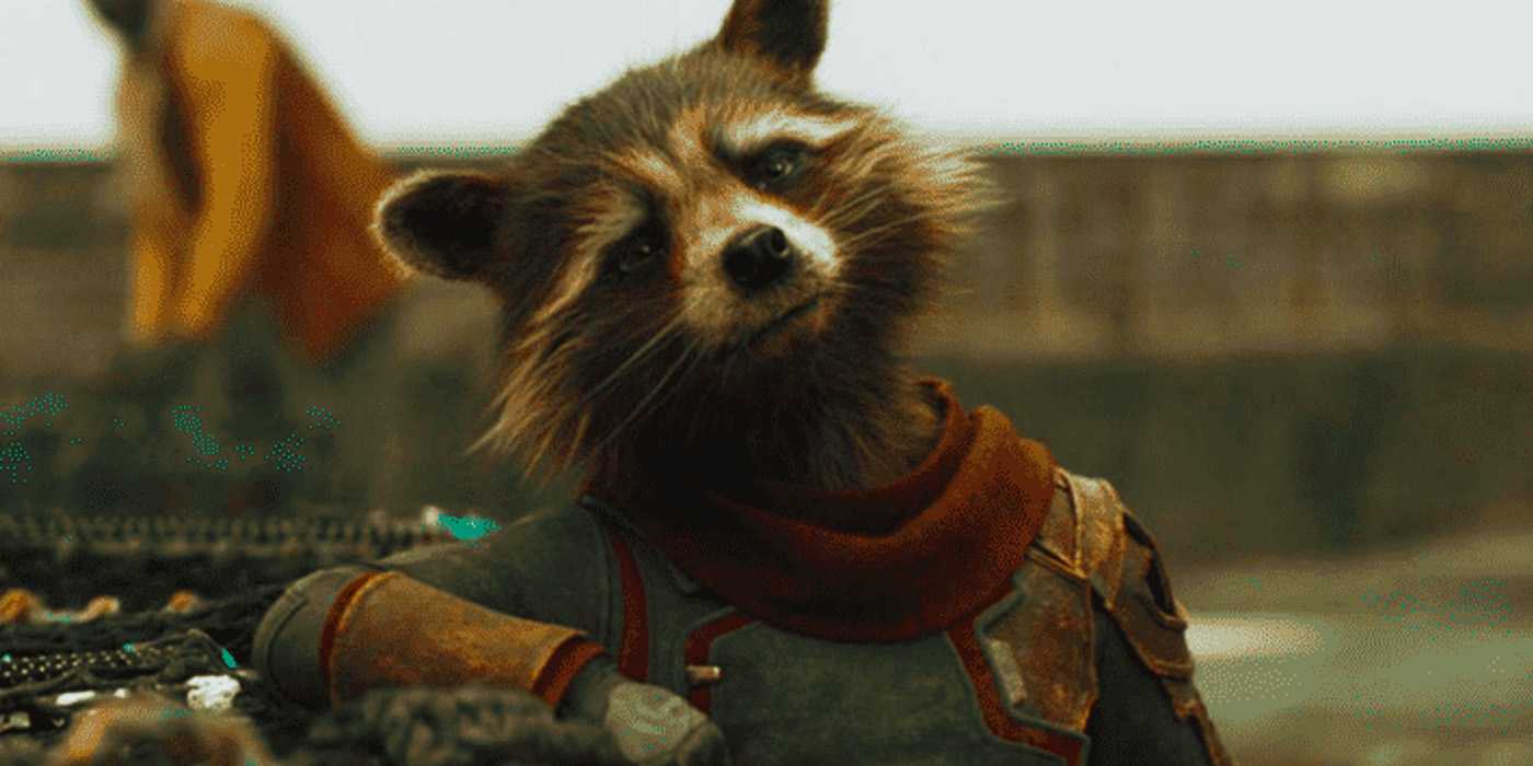 Rocket Racoon Said Scene