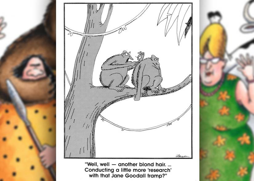 the far side jane goodall comic