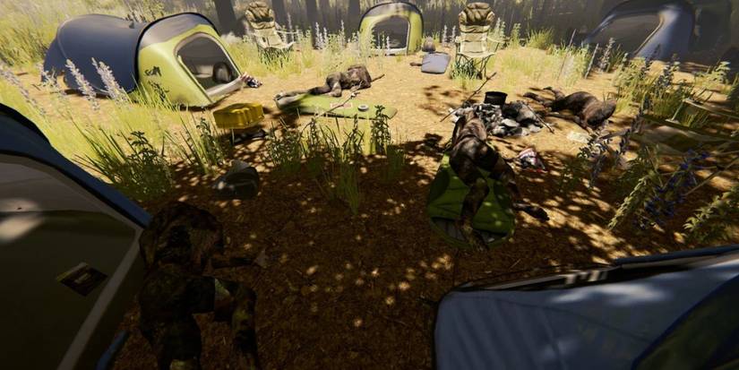 The Forest: The First Places You Need To Go (New Player Guide)