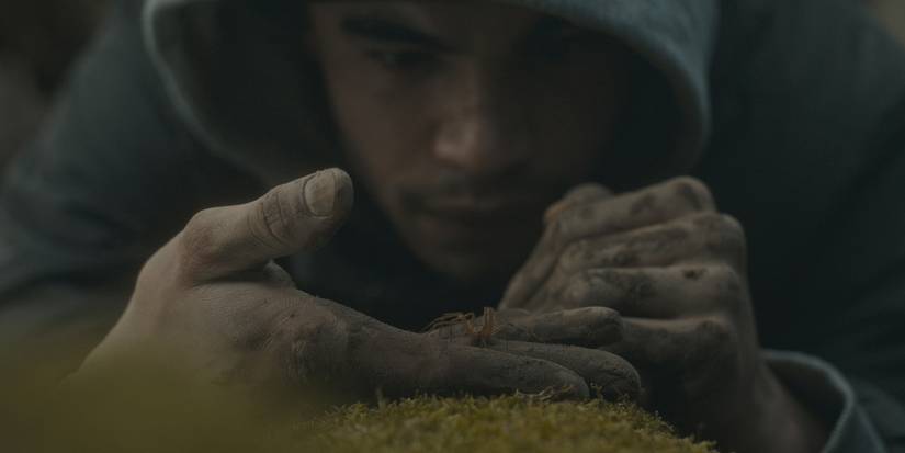 Infested Director & Co-Writer Sébastien Vaniček Talks Arachnophobia ...