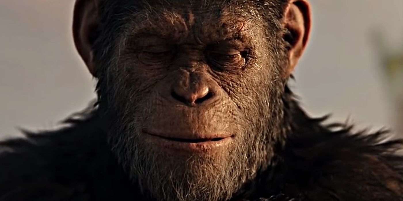 The Highest Grossing Planet Of The Apes Movies