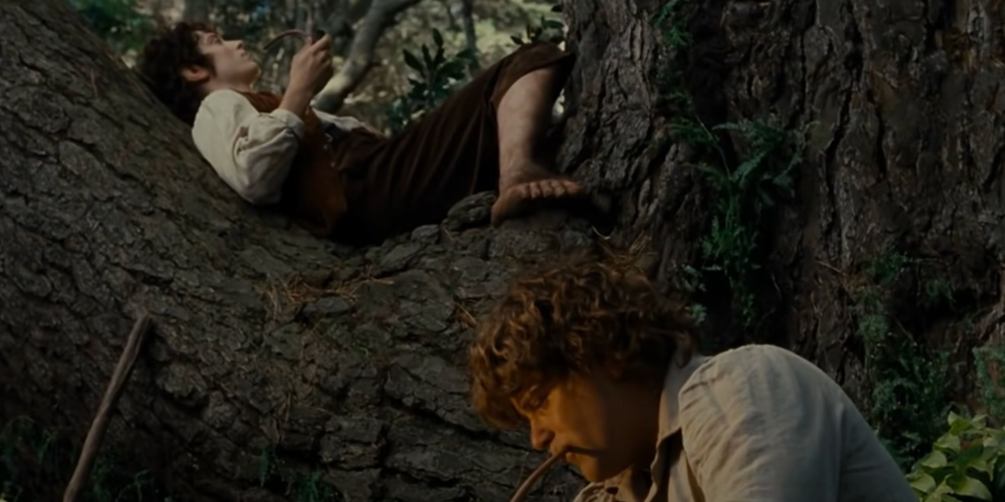 El señor de los anillos: 10 formas en que Samwise Gamgee es diferente en las películas de los libros