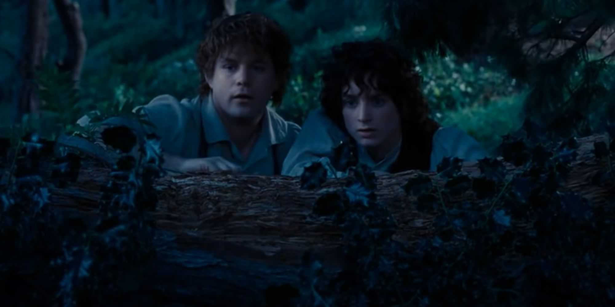 Frodo Family Where Are Frodo's Parents In The Lord Of The Rings? Why Bilbo Adopted Him