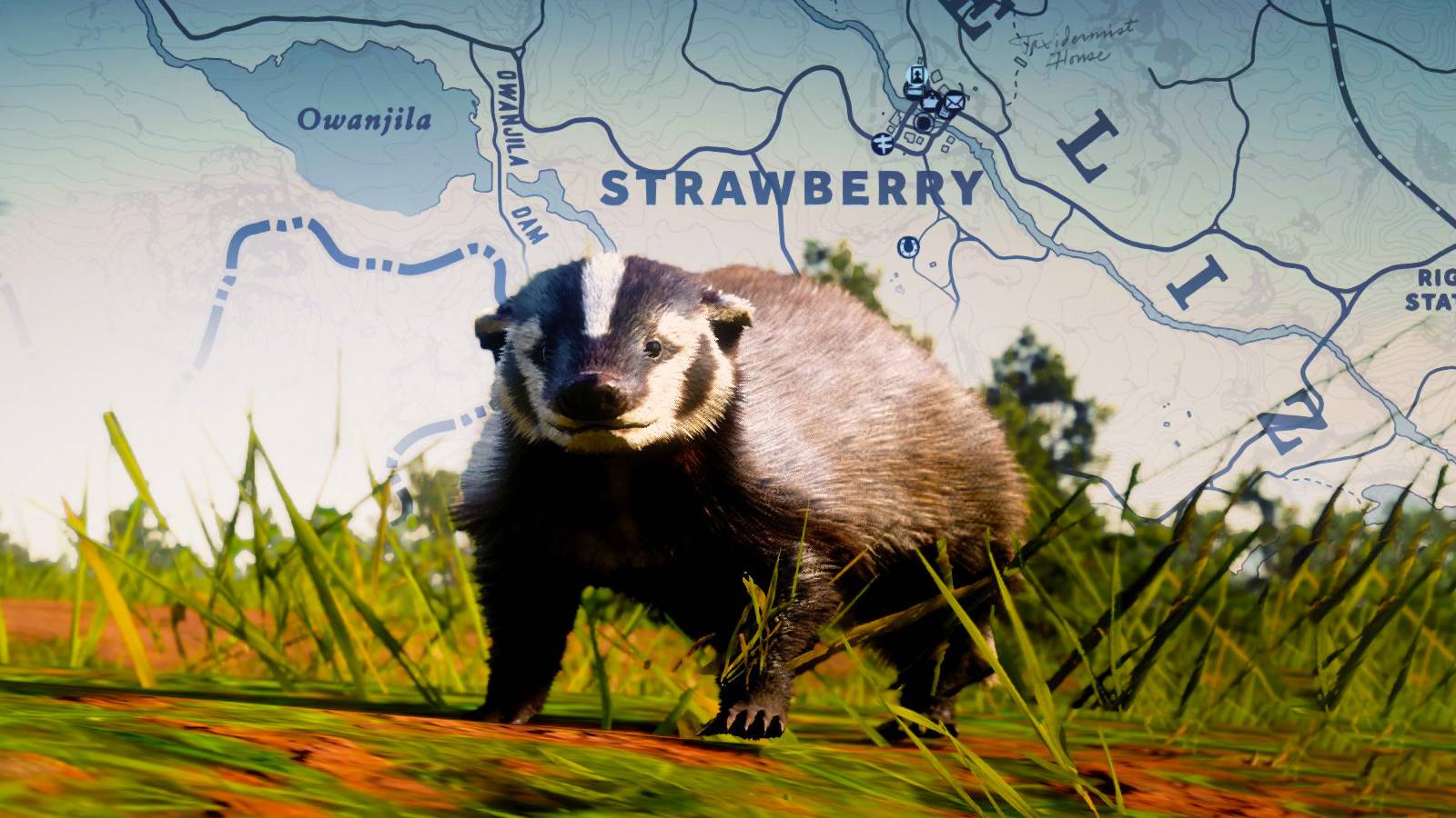 How To Find Badgers In Red Dead Redemption 2