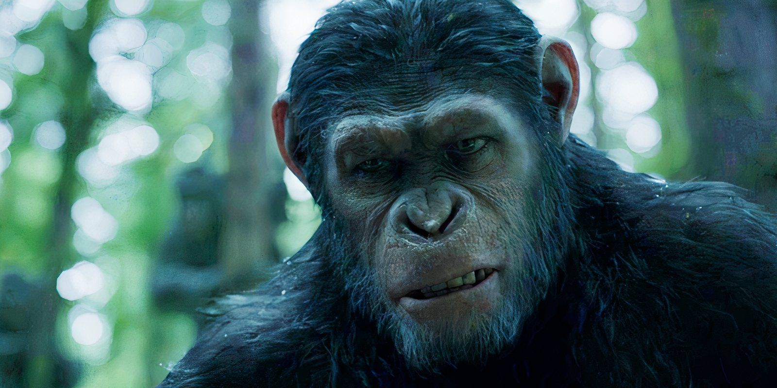 10 Most Convincing CGI Movie Characters