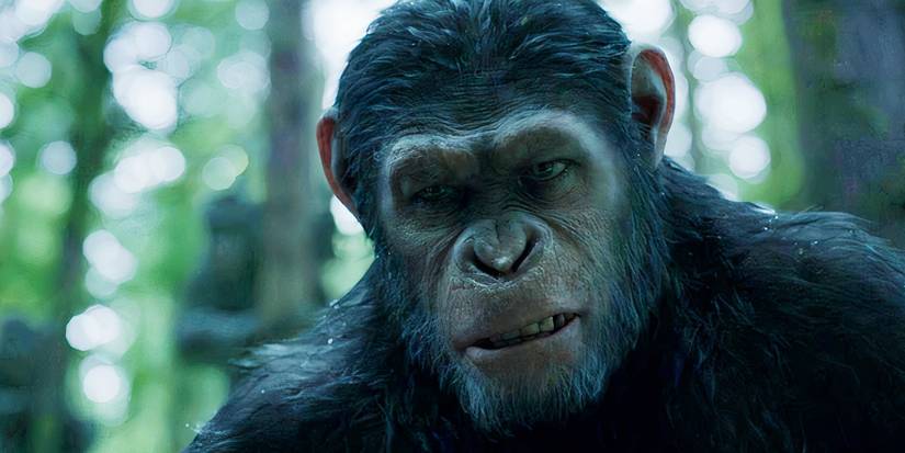 The 1 Thing From Andy Serkis’ Planet Of The Apes Movies That Kingdom Of ...