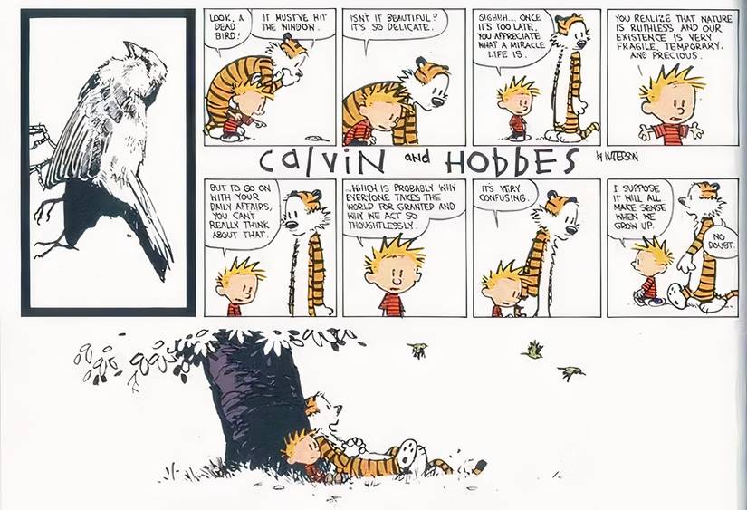 Calvin and Hobbes are prompted to reflect on life by the death of a bird.