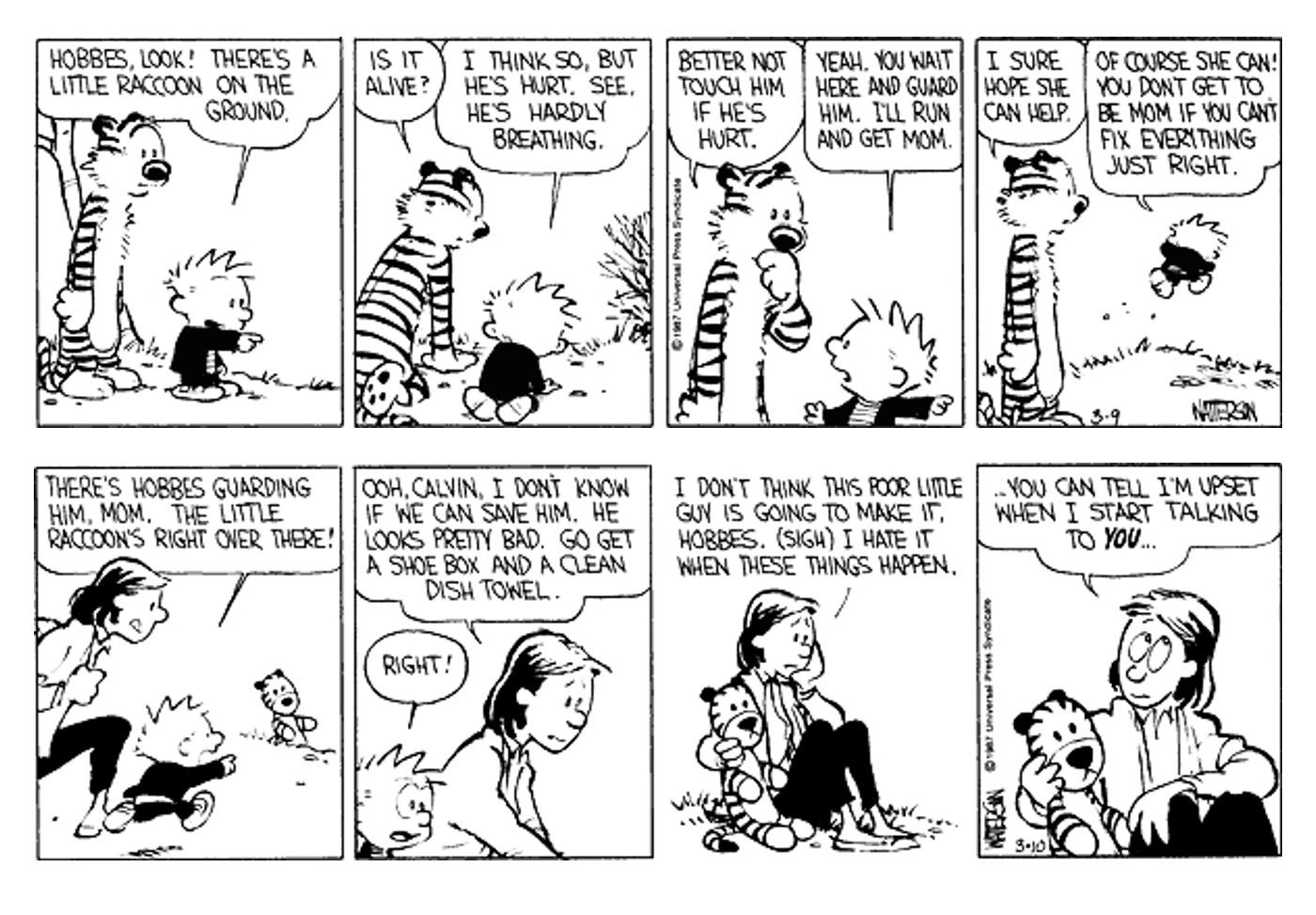 calvin and hobbes raccoon comics