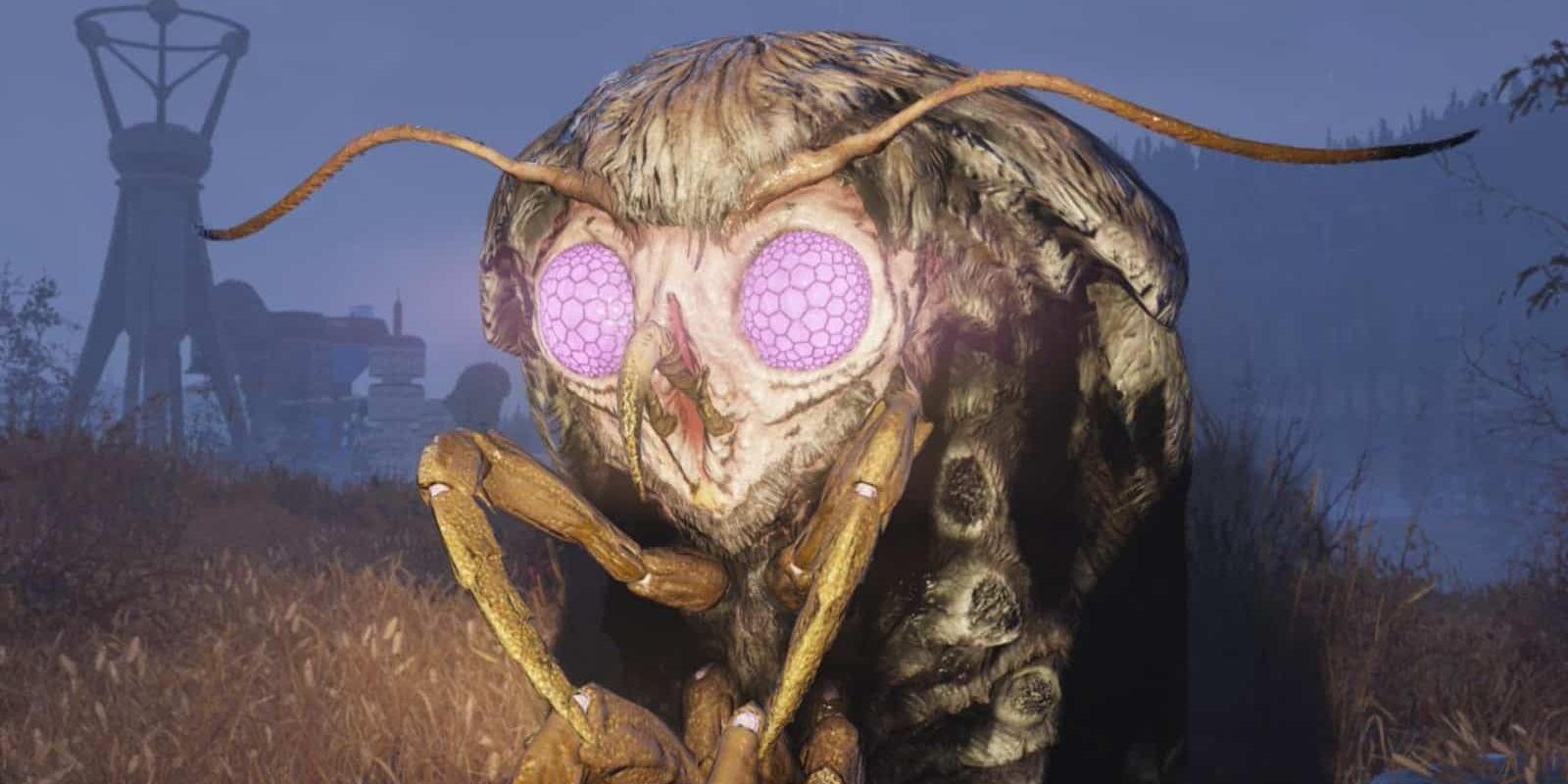 Wise Mothman in Fallout 76