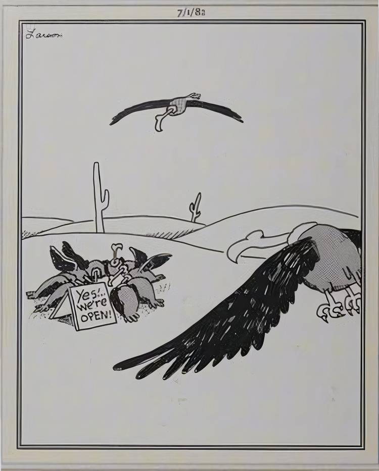 10 Brilliant Far Side Comics Starring Buzzards, Vultures, & Other Birds ...