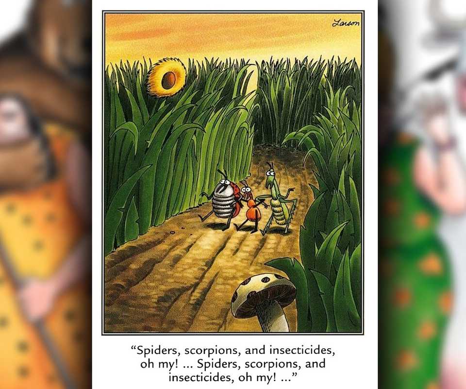 far side wizard of oz comic with insects