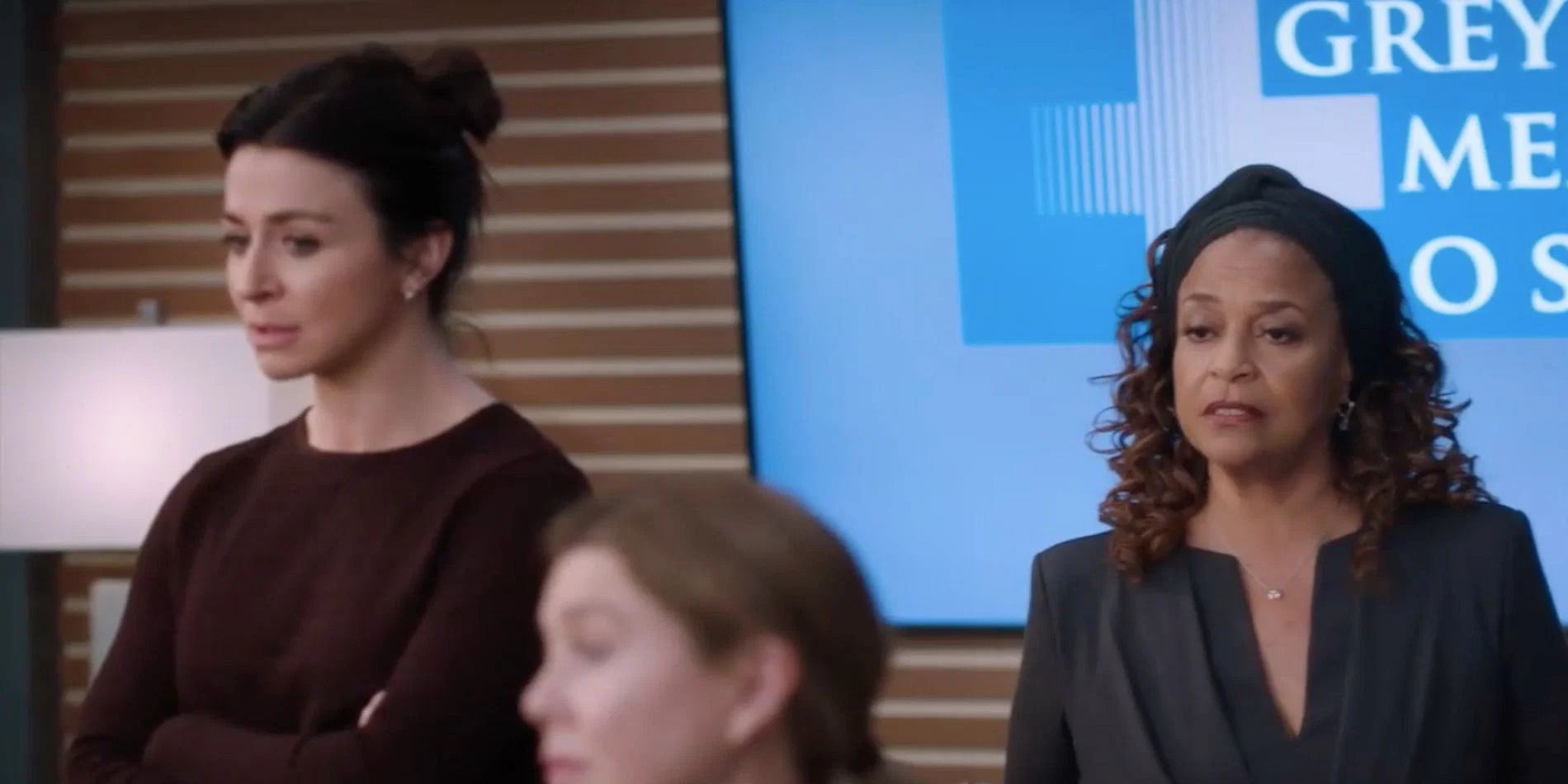 Grey's Anatomy Season 21's Trailer Already Showed You Meredith & Amelia's Research Future