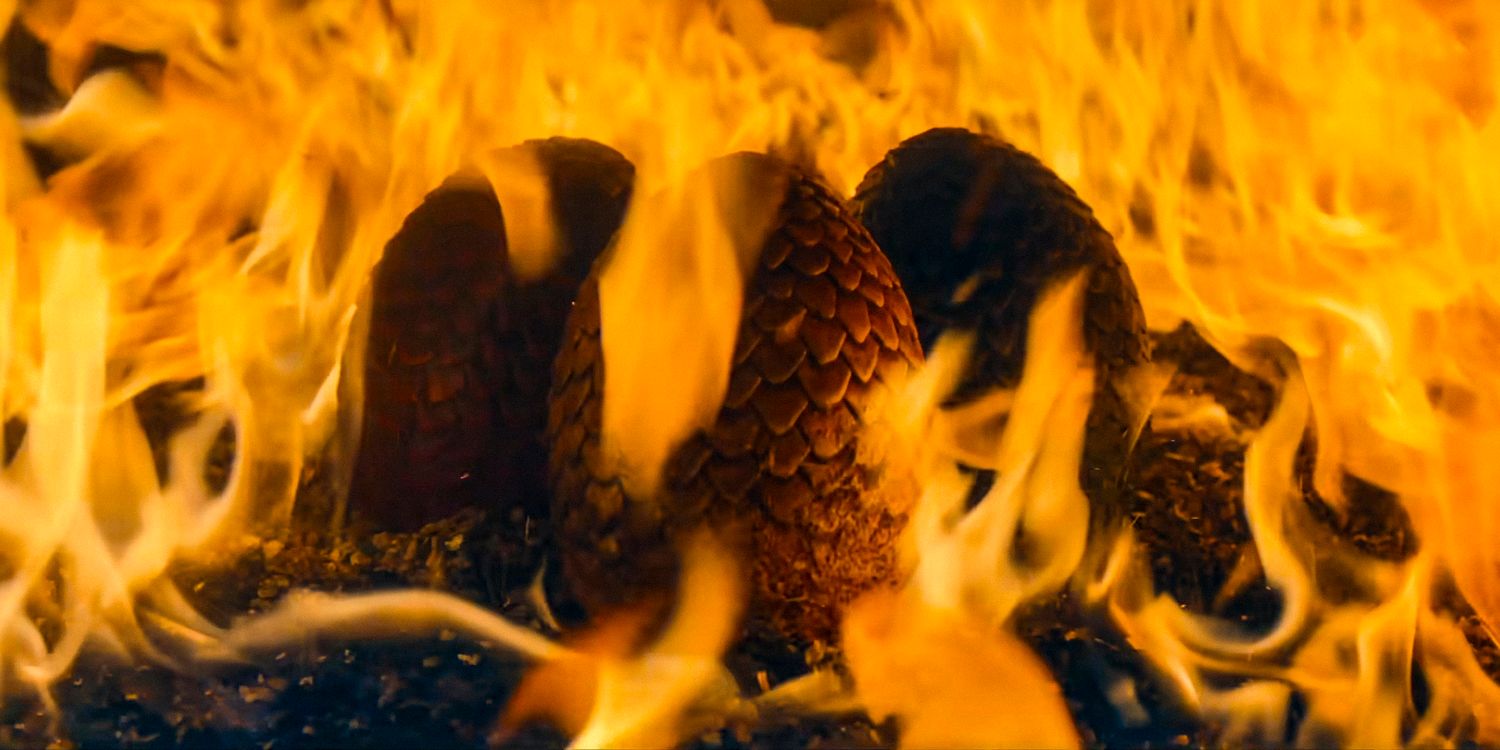 3 dragon eggs in the fire in House of the Dragon season 2