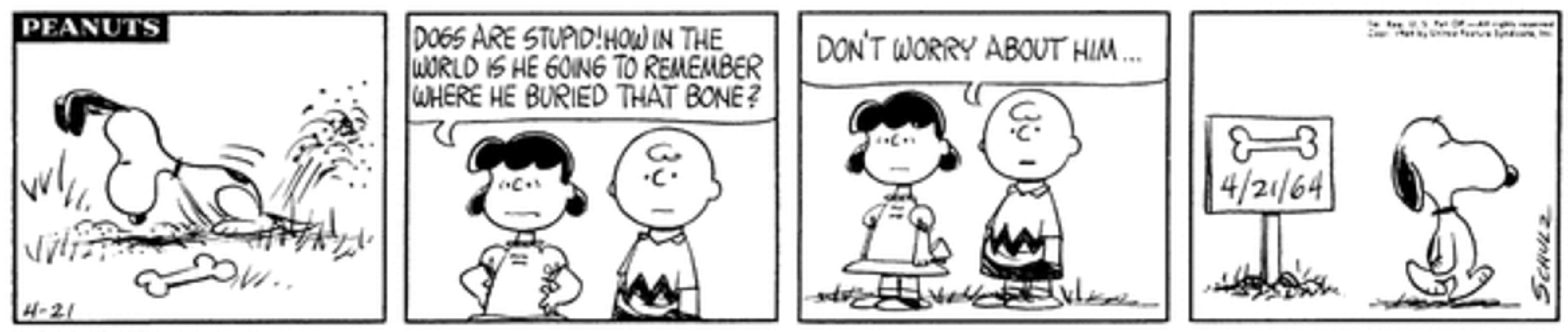Snoopy, Lucy, and Charlie Brown in Peanuts.