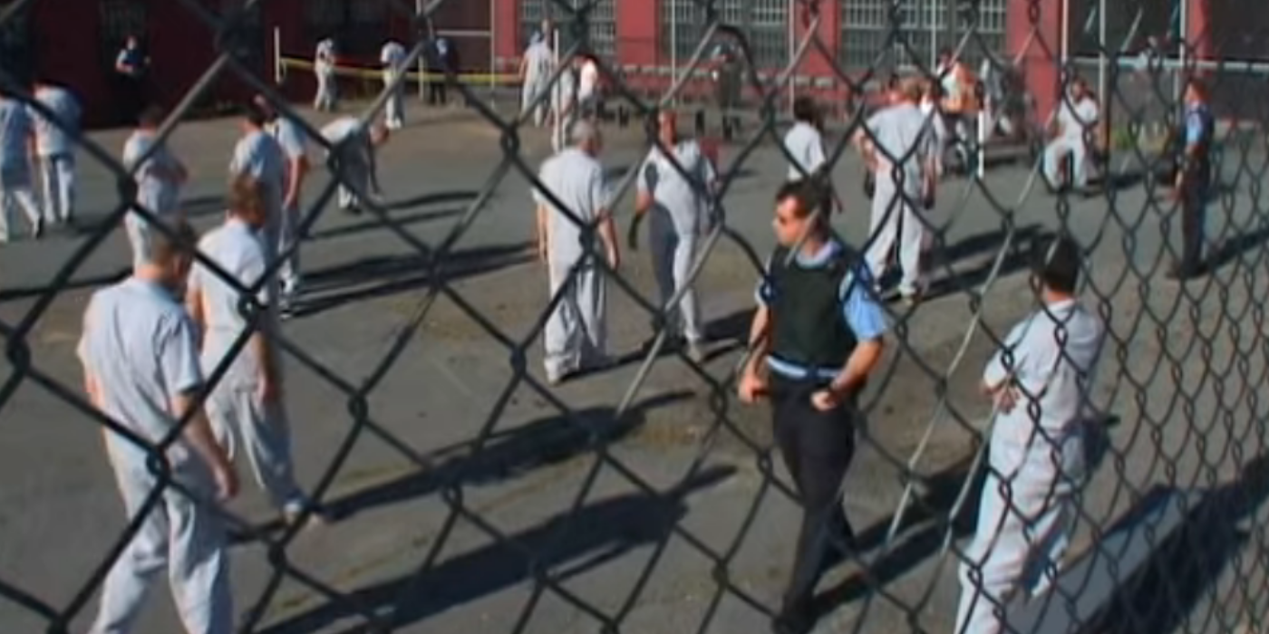 Trailer Park Boys: The 15 Best Episodes