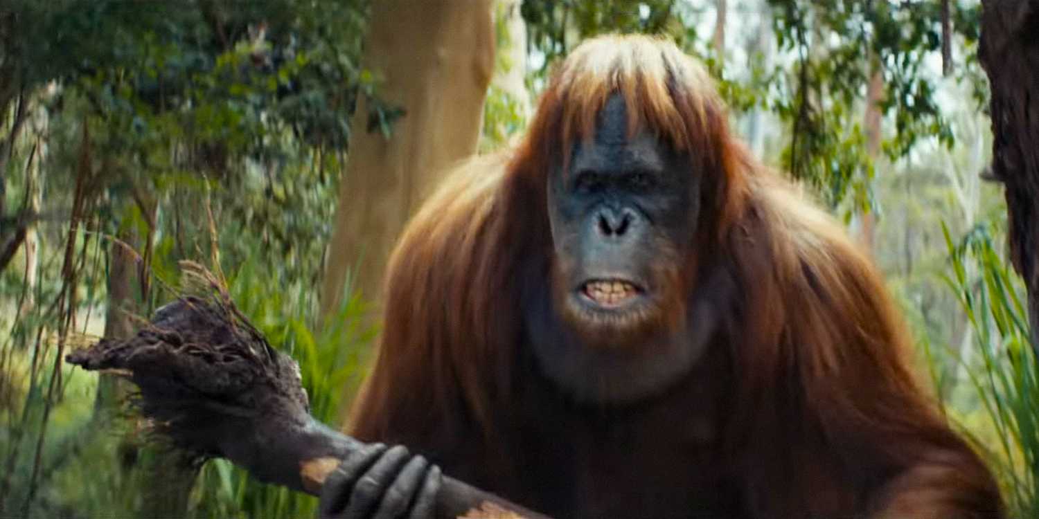 Close Raka “Our Job Was Complicated”: How Kingdom Of The Planet Of The Apes ...
